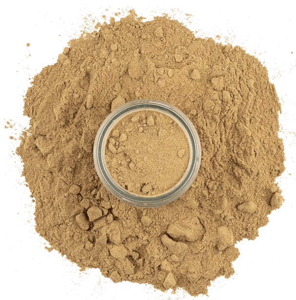 porcini-mushroom-powder-3.png|algolia