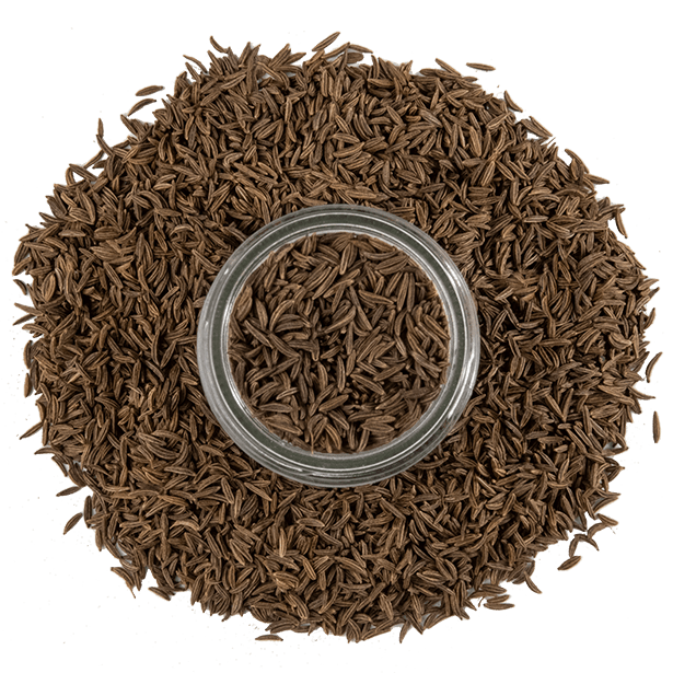 caraway-seeds-3.png|algolia