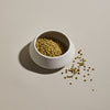 indian-coriander-seeds-1.jpg