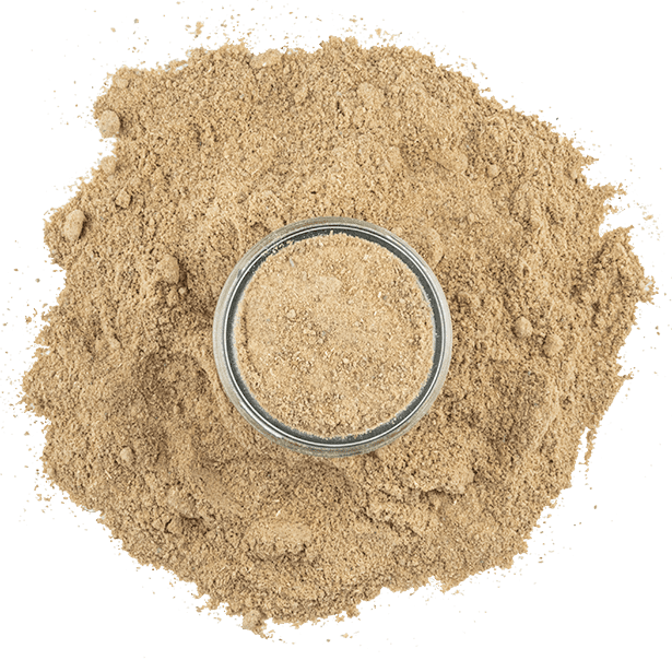 Mango Powder