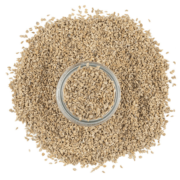 ajowan seed
